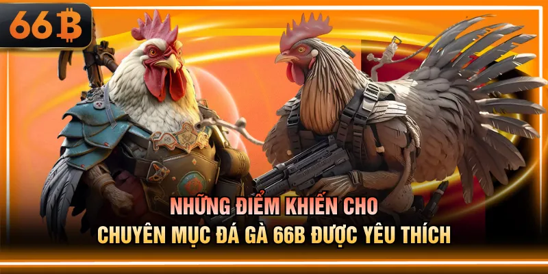Những điểm khiến cho chuyên mục đá gà 66B được yêu thích
